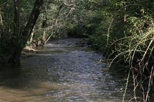 Drietomica nad Drietomou, TMP_AstaAsta_045_1